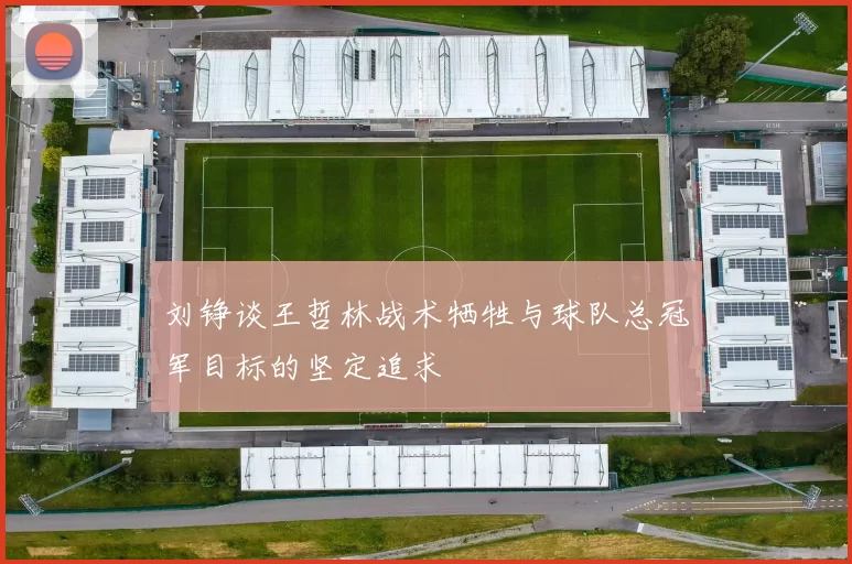 刘铮谈王哲林战术牺牲与球队总冠军目标的坚定追求